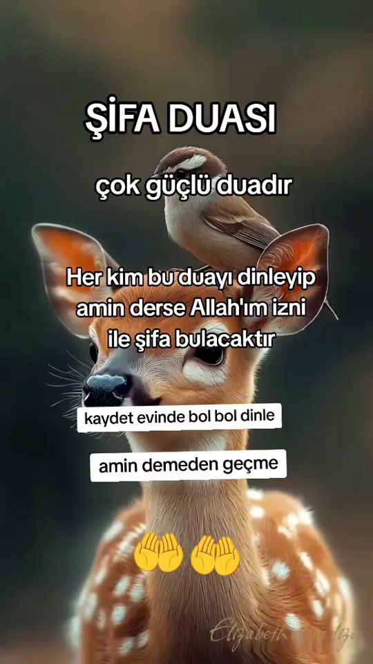 TikTok video thumbnail by 84papatya91