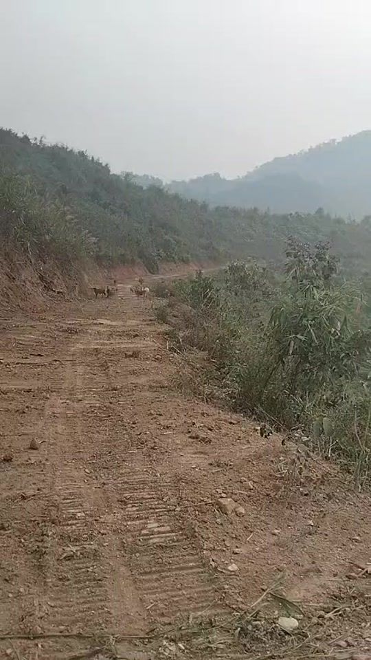 TikTok video thumbnail by small992