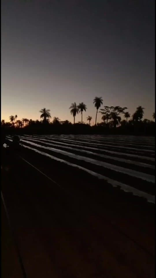 TikTok video thumbnail by matias__ramirez_