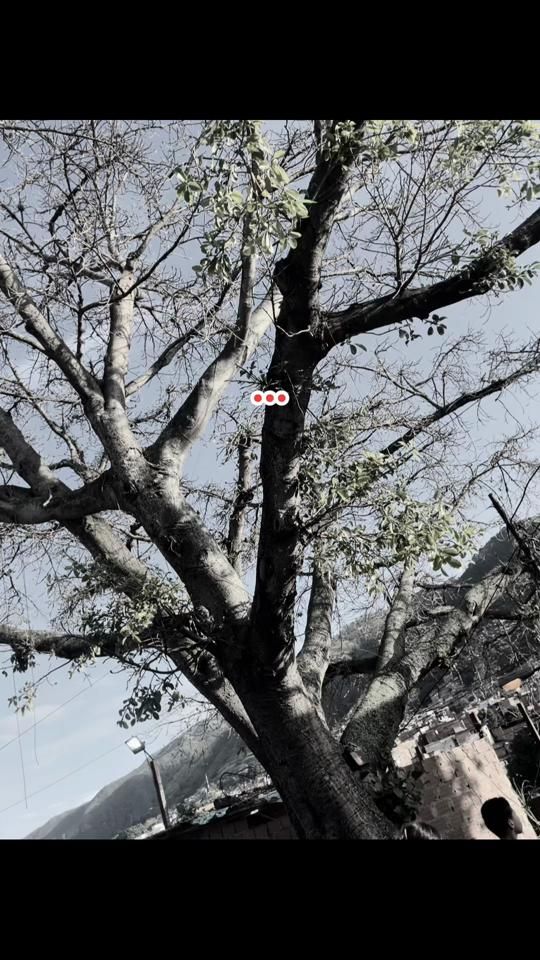 TikTok video thumbnail by c7202778