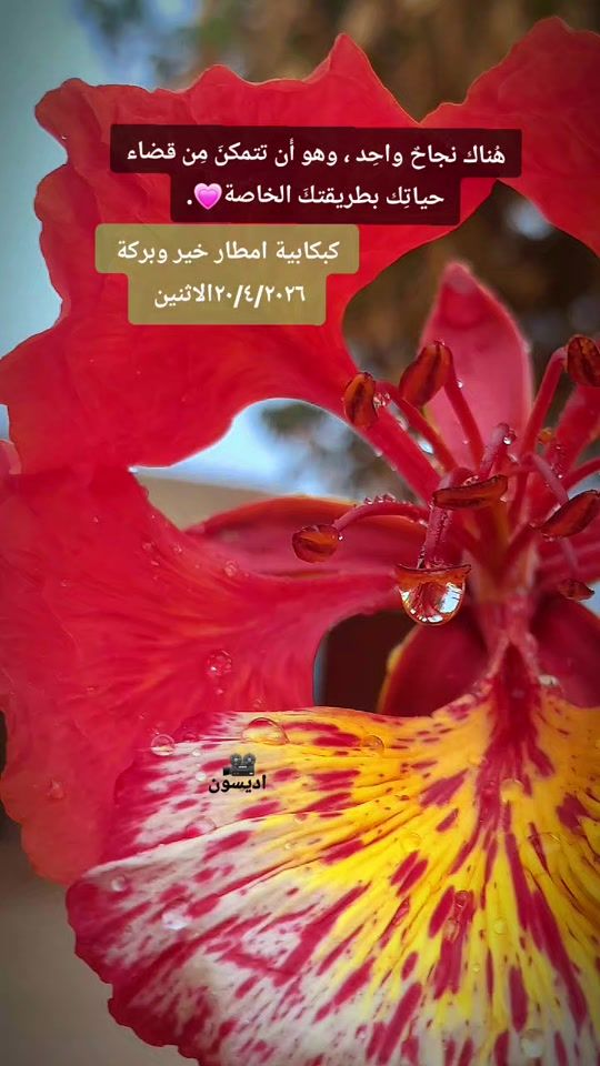 TikTok video thumbnail by adeson48