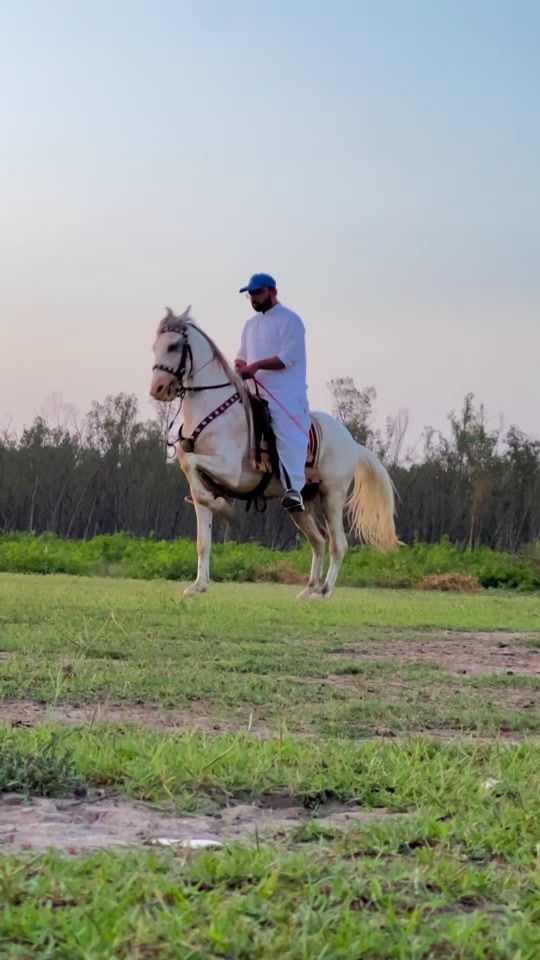 TikTok video thumbnail by haseebuttra1