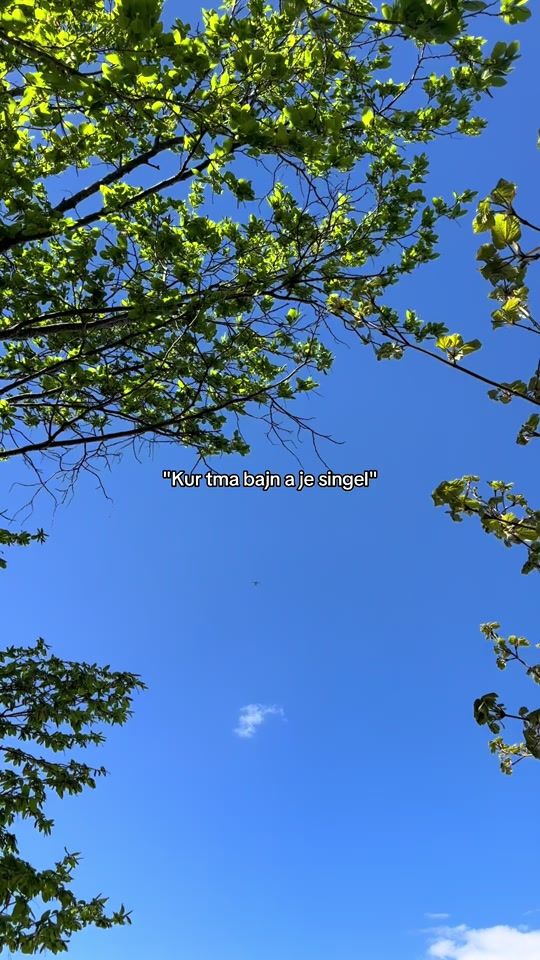 TikTok video thumbnail by nonono_okay