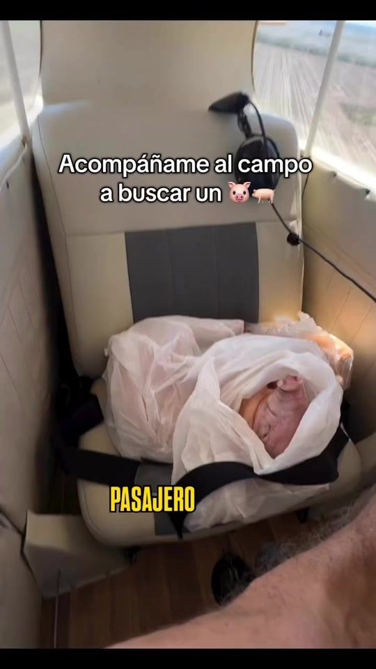 TikTok video thumbnail by federicodruetta