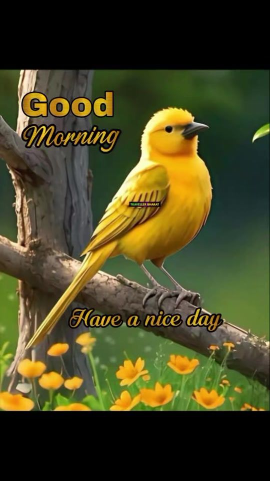 TikTok video thumbnail by user5834760037815
