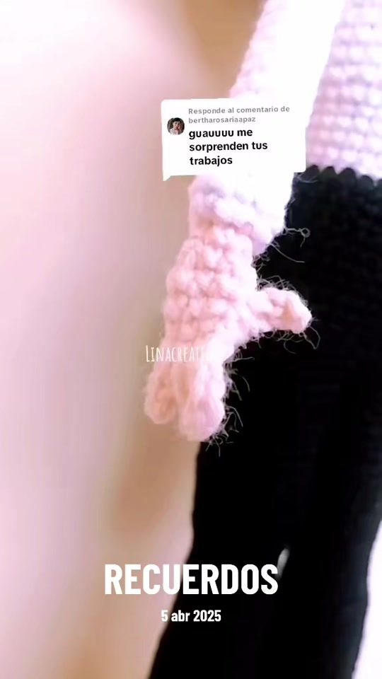 TikTok video thumbnail by linacrochett