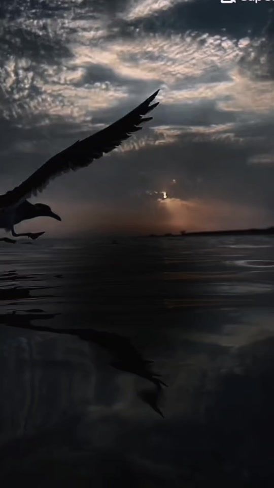 TikTok video thumbnail by k.ibra10