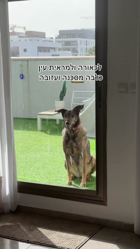 TikTok video thumbnail by maui_the_mal