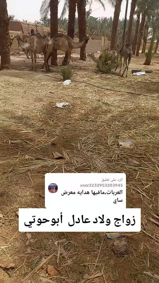 TikTok video thumbnail by dyal0rinq4m2