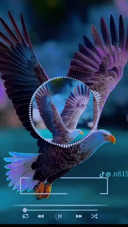 TikTok video thumbnail by user3999367632203