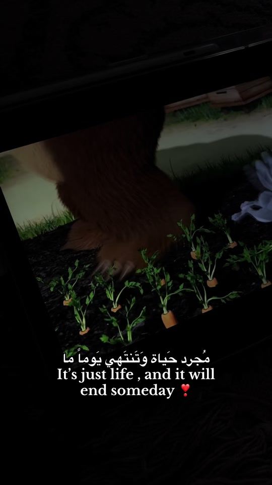 TikTok video thumbnail by basmala_ganaim