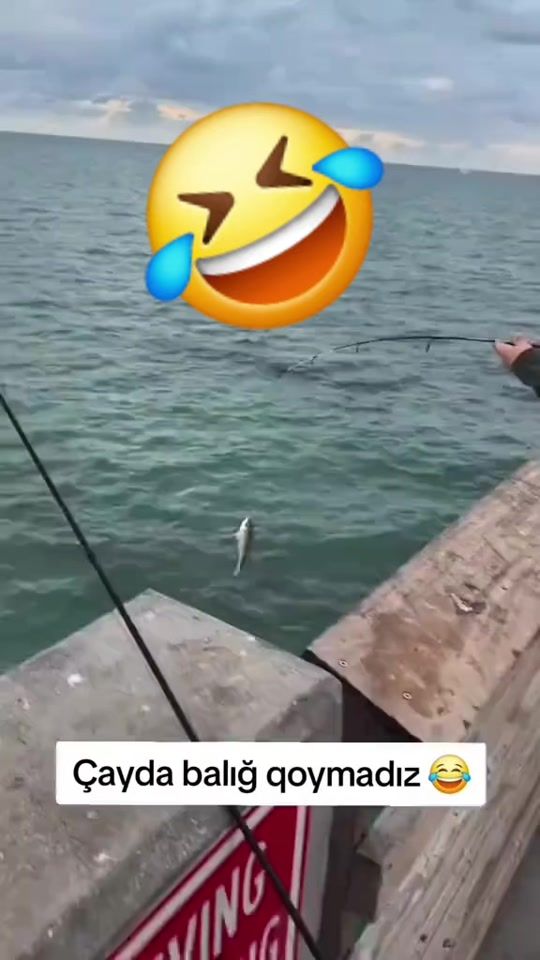 TikTok video thumbnail by tt059tt_