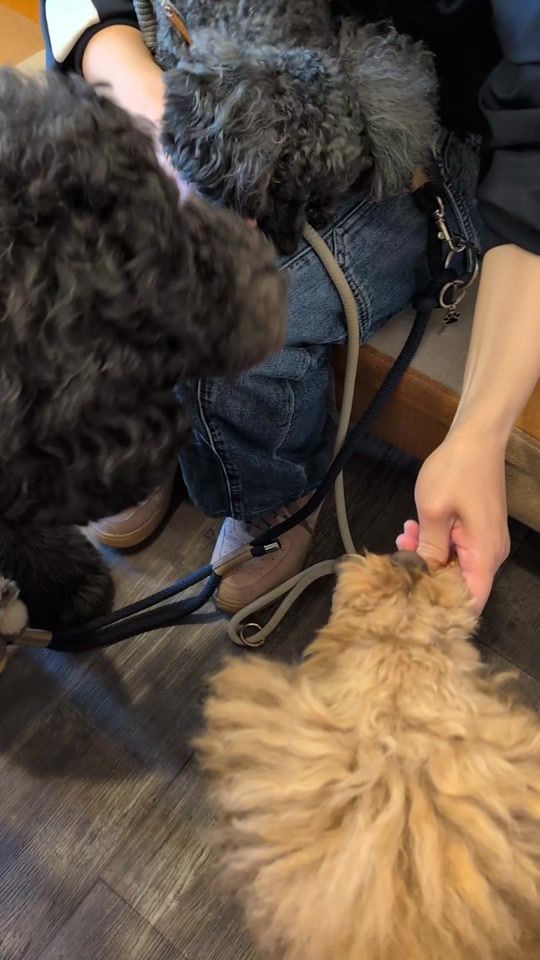 TikTok video thumbnail by n_cafe_8