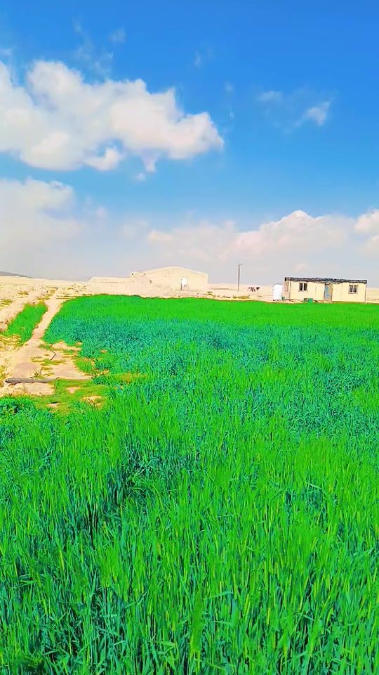 TikTok video thumbnail by user8703282625725