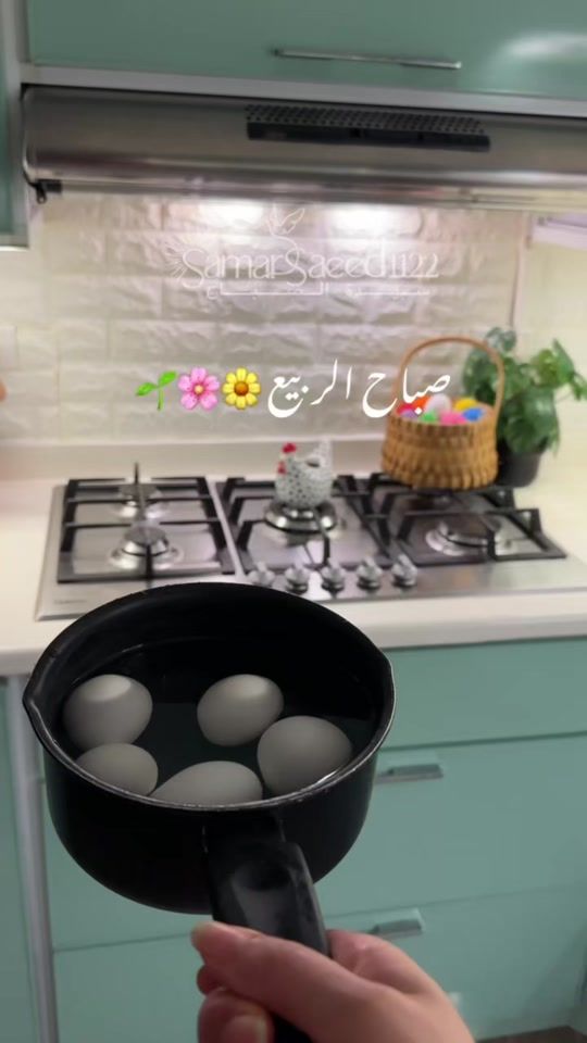 TikTok video thumbnail by samarsaeed103