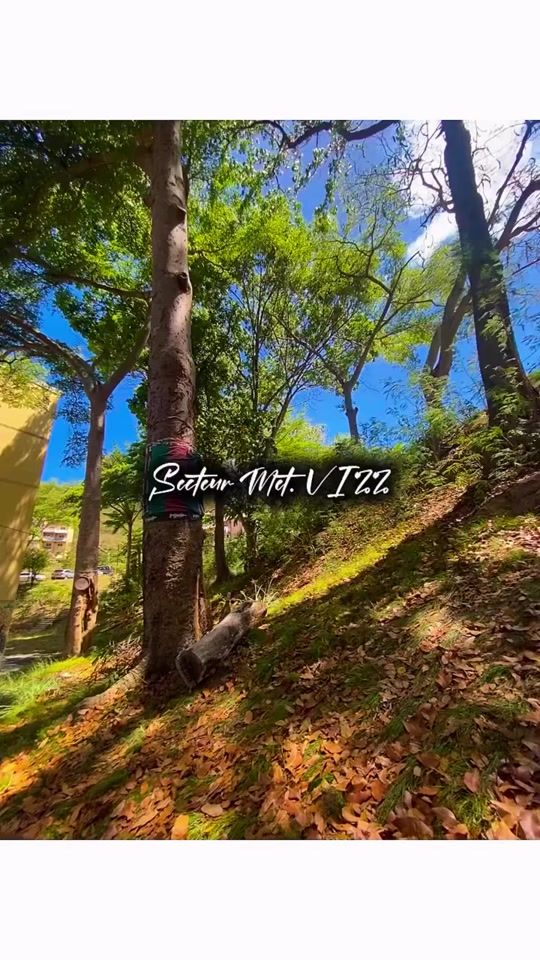 TikTok video thumbnail by hemtey.6ix