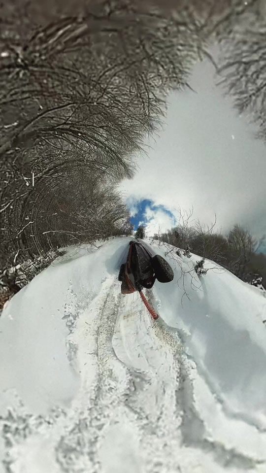 TikTok video thumbnail by 992carrera