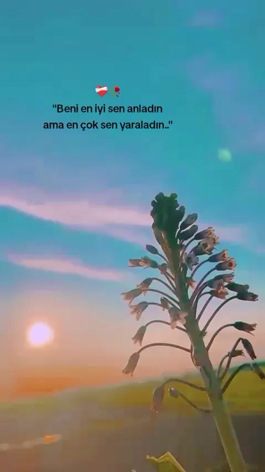 TikTok video thumbnail by yorgun_5925