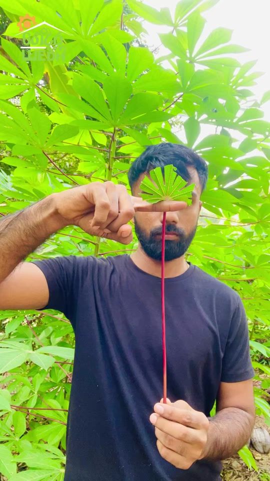 TikTok video thumbnail by gedara.weda