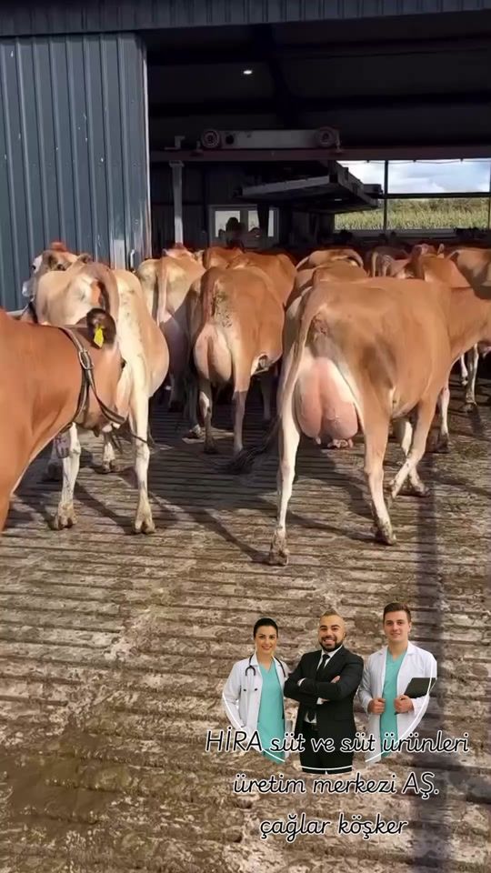 TikTok video thumbnail by caglar.kosker