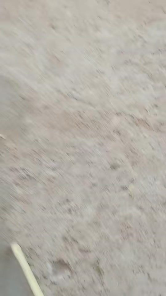 TikTok video thumbnail by user2797884286039