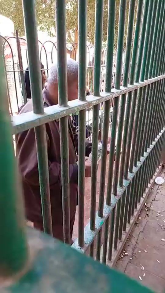 TikTok video thumbnail by oaaawo