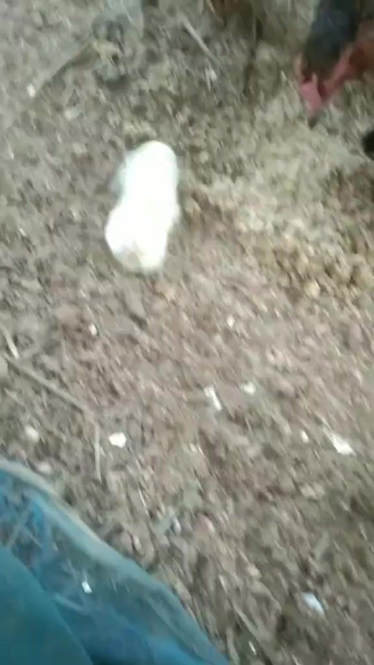 TikTok video thumbnail by toukta5148
