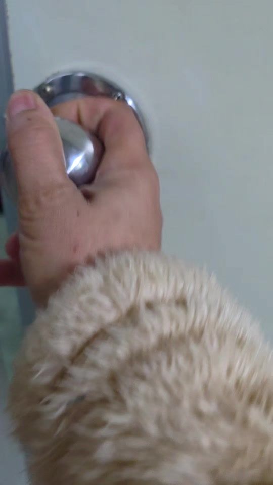 TikTok video thumbnail by montreesaenseemon