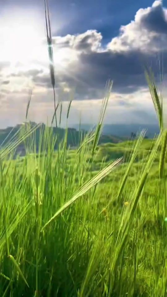 TikTok video thumbnail by chadya_dirany
