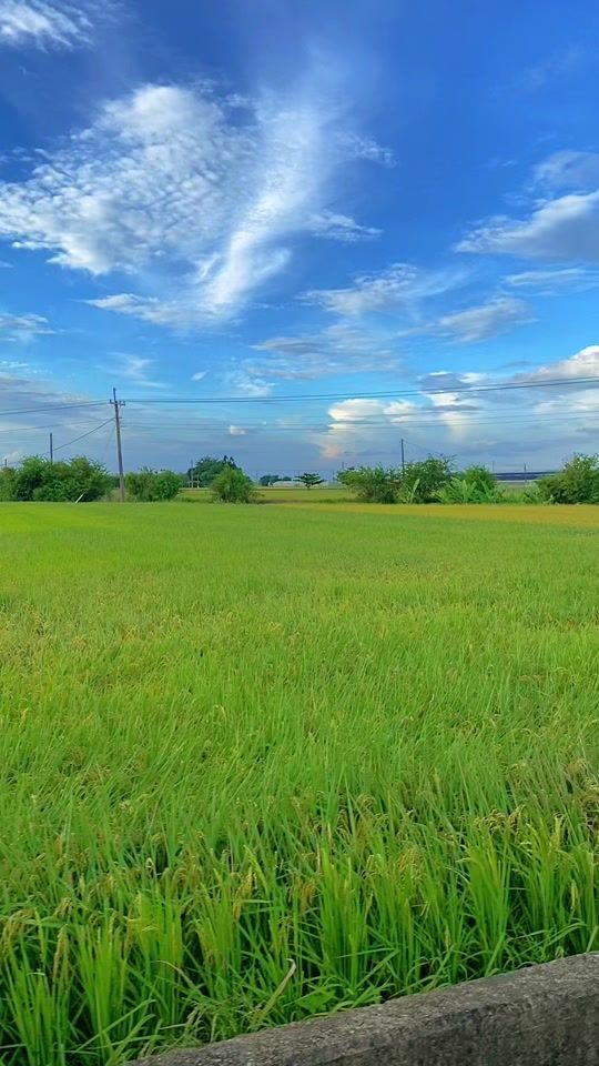 TikTok video thumbnail by dimas_aliyu