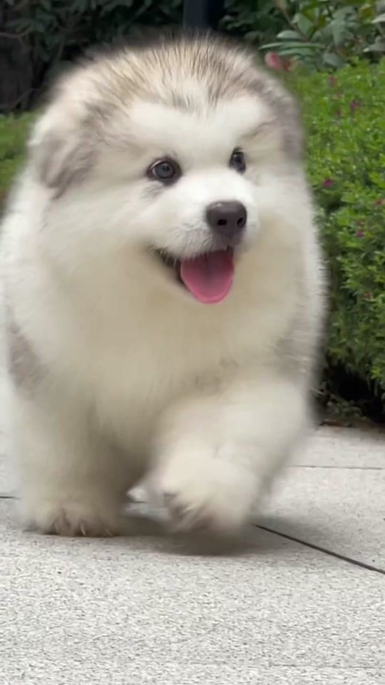 TikTok video thumbnail by jiojio99