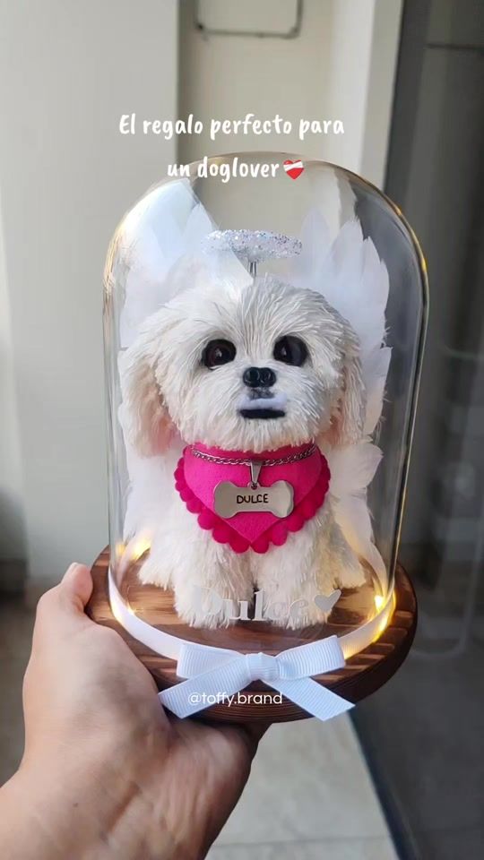 TikTok video thumbnail by toffy.brand
