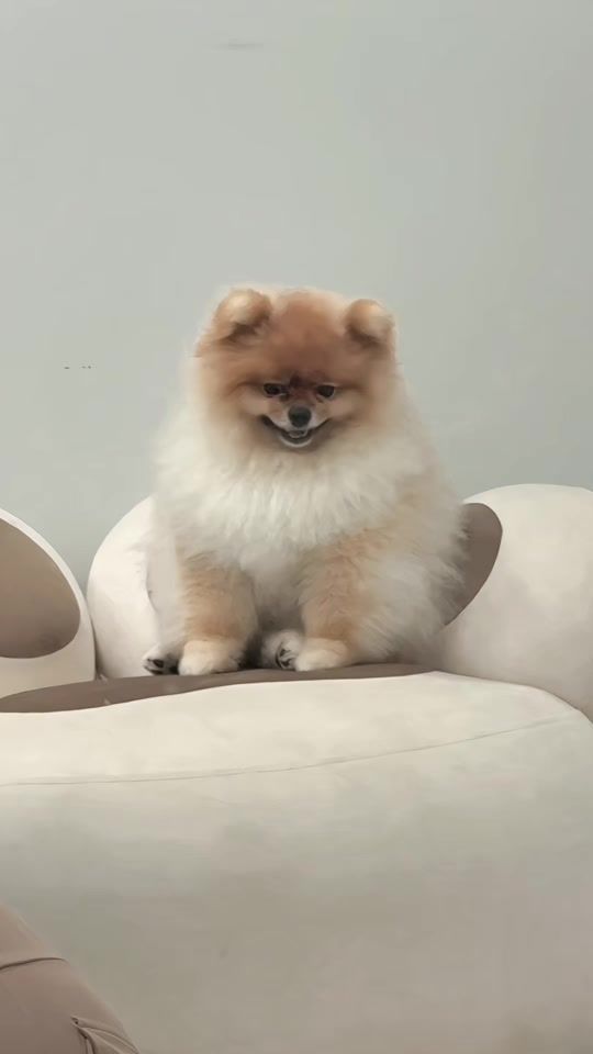TikTok video thumbnail by bm_beebyy