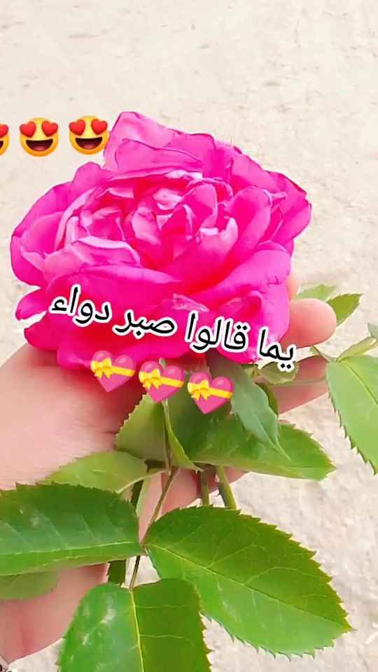 TikTok video thumbnail by elabed82