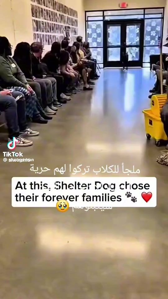 TikTok video thumbnail by fatmaa.asyl