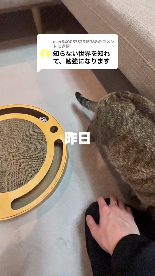 TikTok video thumbnail by nivo2_