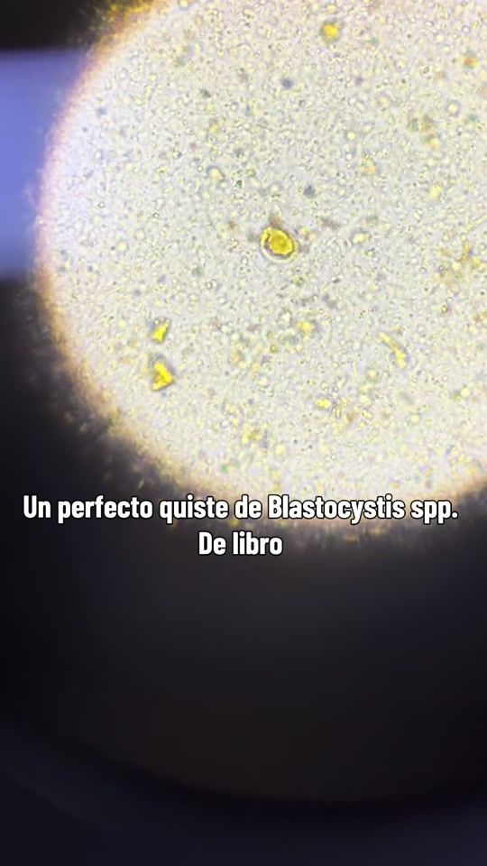 TikTok video thumbnail by sulab.laboratorio