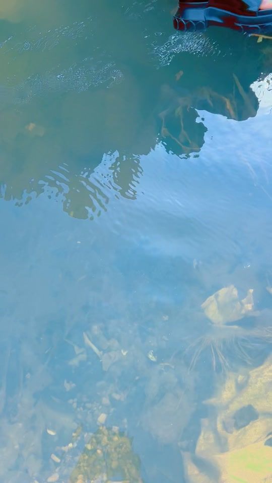 TikTok video thumbnail by fallydebrazza2