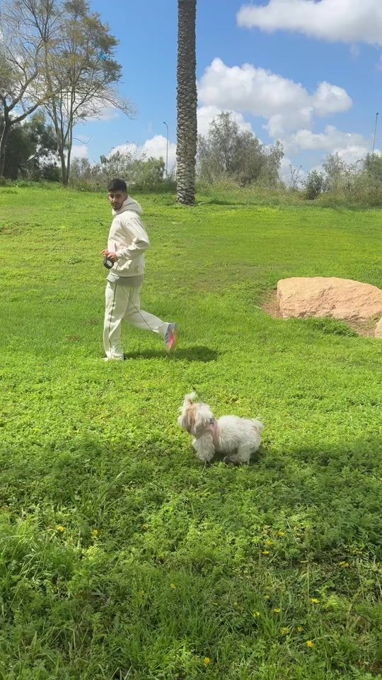 TikTok video thumbnail by dor.adi