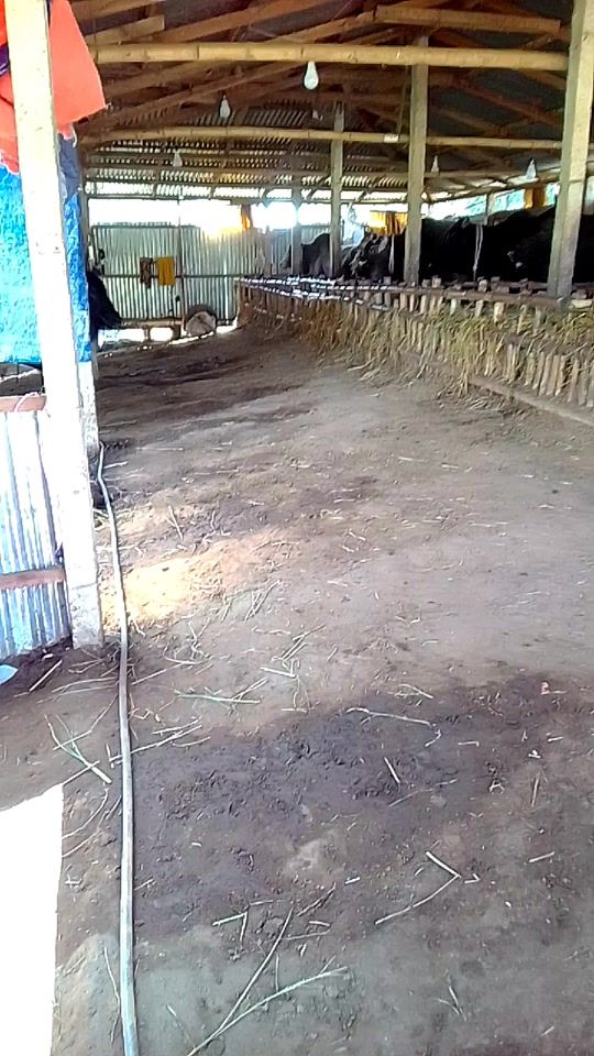 TikTok video thumbnail by red.tiger76