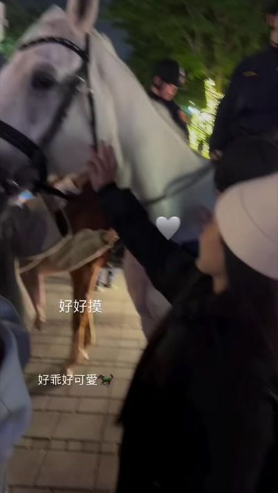 TikTok video thumbnail by y5978k