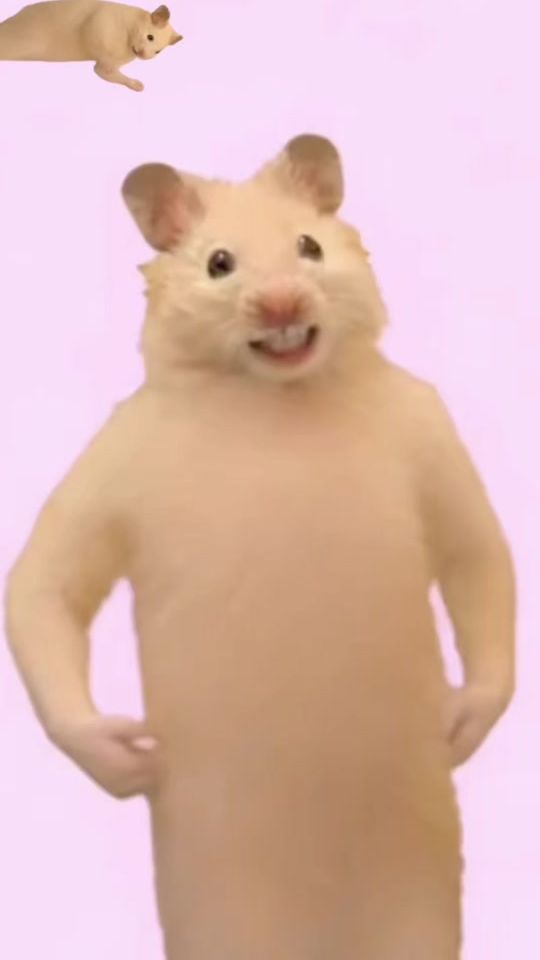 TikTok video thumbnail by fcham18