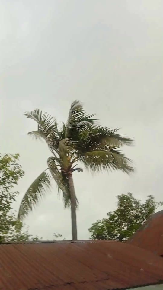 TikTok video thumbnail by md.jashim.uddin.07