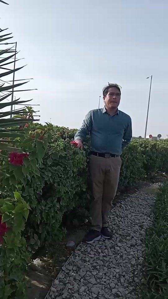 TikTok video thumbnail by aanandakc