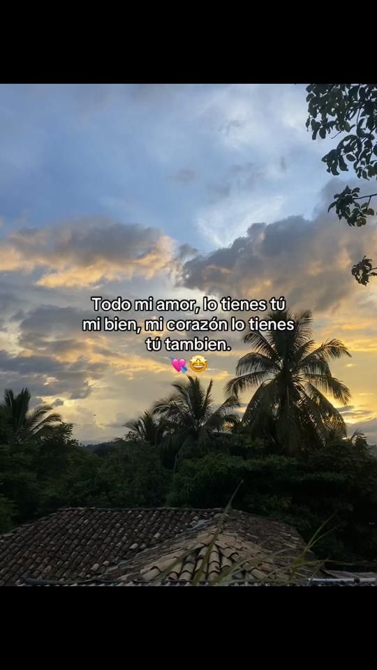 TikTok video thumbnail by lilianasantos823