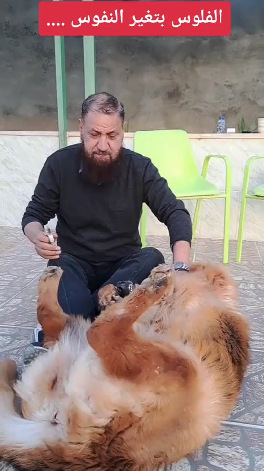 TikTok video thumbnail by sami.tabaza