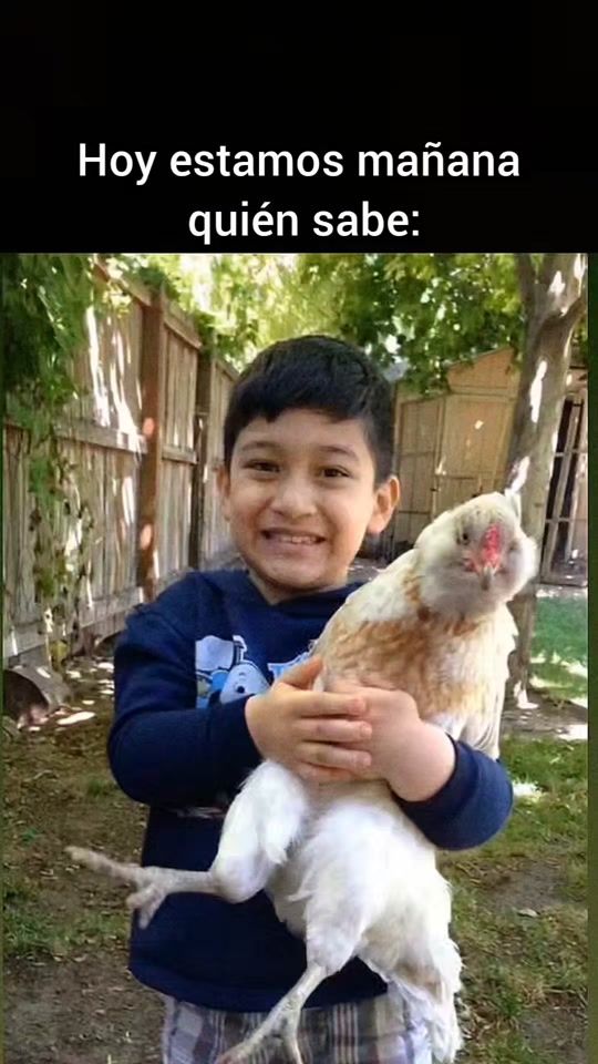 TikTok video thumbnail by amy.....le