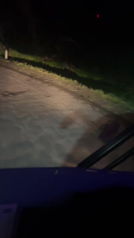 TikTok video thumbnail by lizymallya