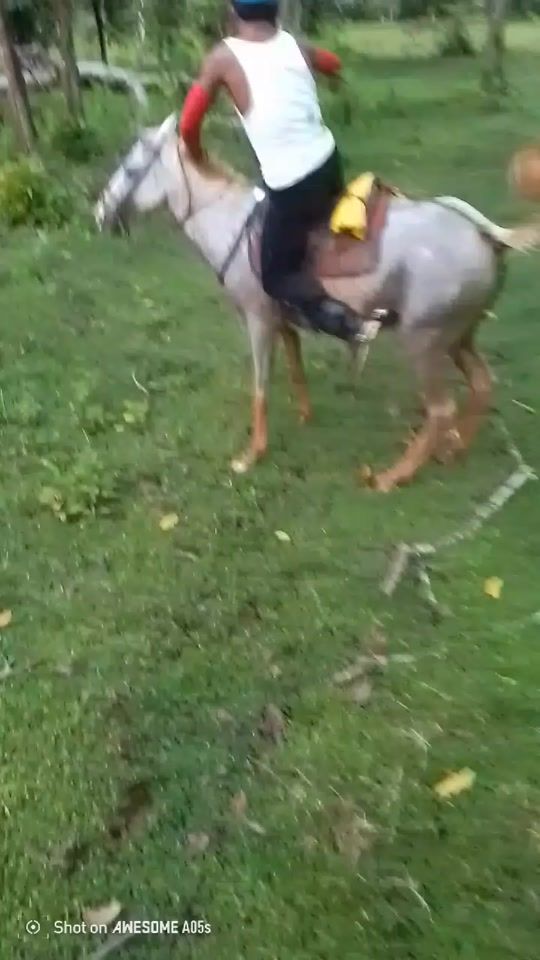 TikTok video thumbnail by lavilchez00