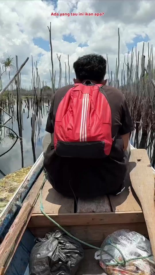 TikTok video thumbnail by bocah_pecicilan